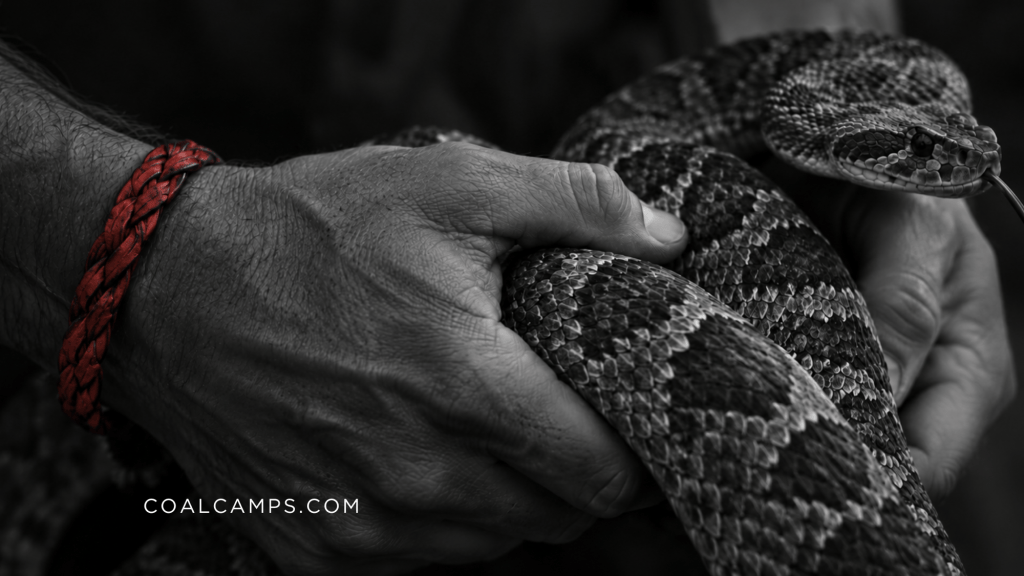 Rapture and the Permanent Underclass: Coal Camps, Snake Handling, Ethnic Cleansing, and the Religion of&nbsp;Forgetting